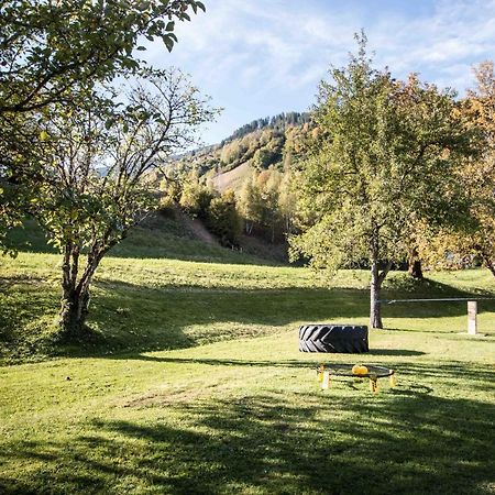 Kraftquelle Herrnmuhle Bramberg am Wildkogel Exteriör bild